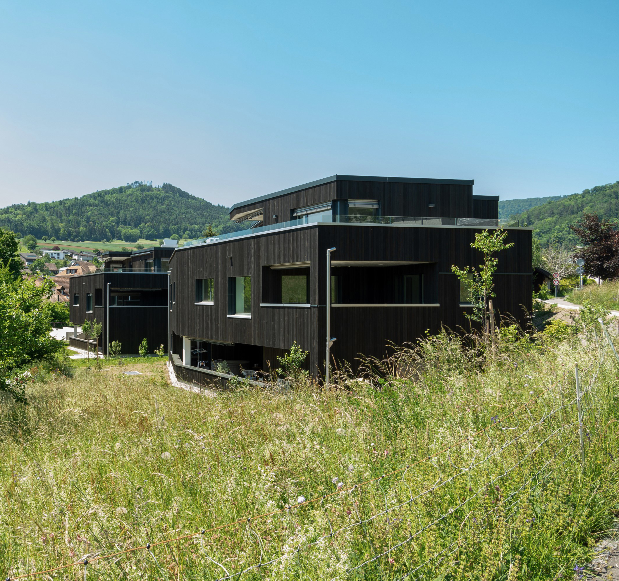 Bild Beschreibung